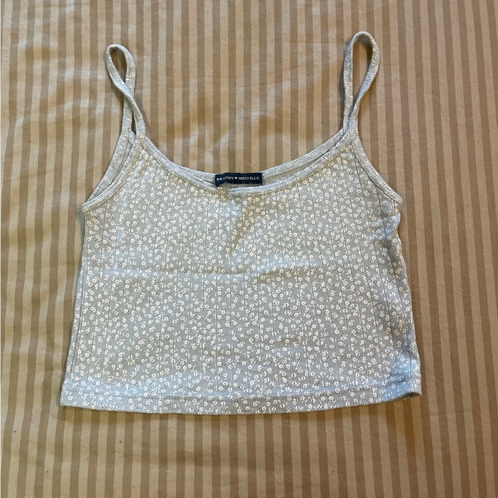 Brandy Melville Blue Floral Crop Top